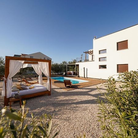 Villa Suncica With Heated Pool, Jacuzzi And Bikes Near Zadar Sukošan Exteriör bild