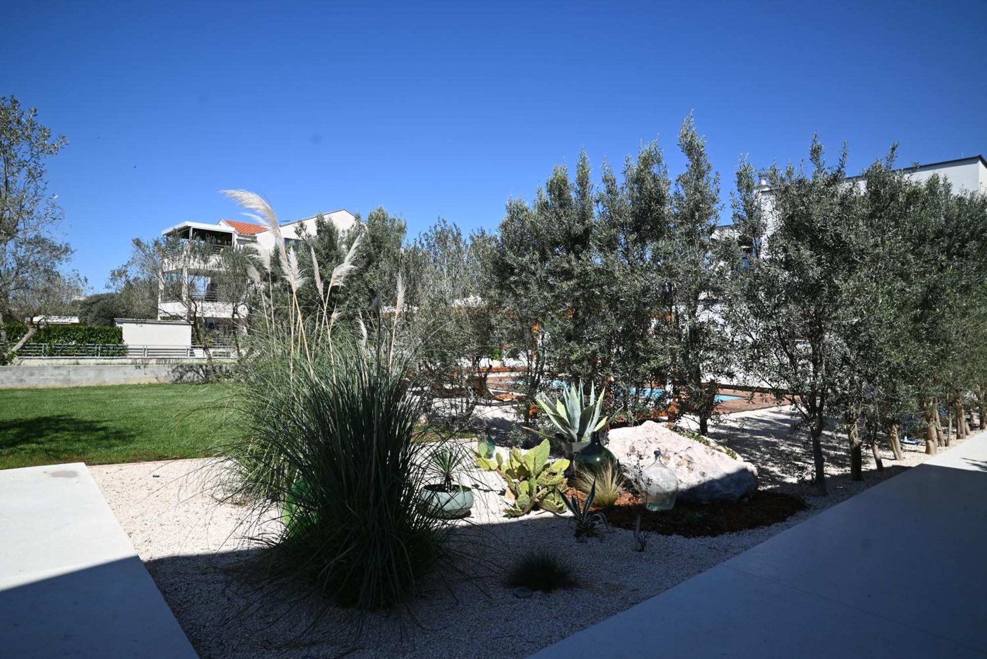 Villa Suncica With Heated Pool, Jacuzzi And Bikes Near Zadar Sukošan Exteriör bild