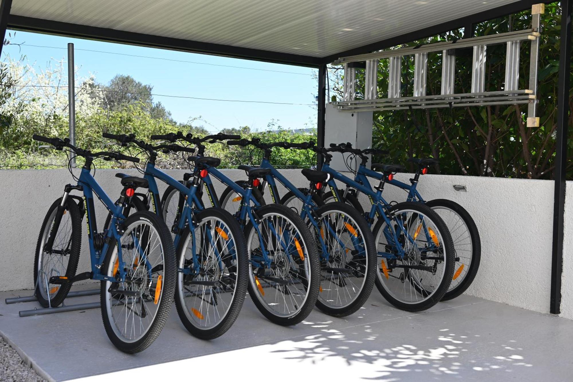 Villa Suncica With Heated Pool, Jacuzzi And Bikes Near Zadar Sukošan Exteriör bild